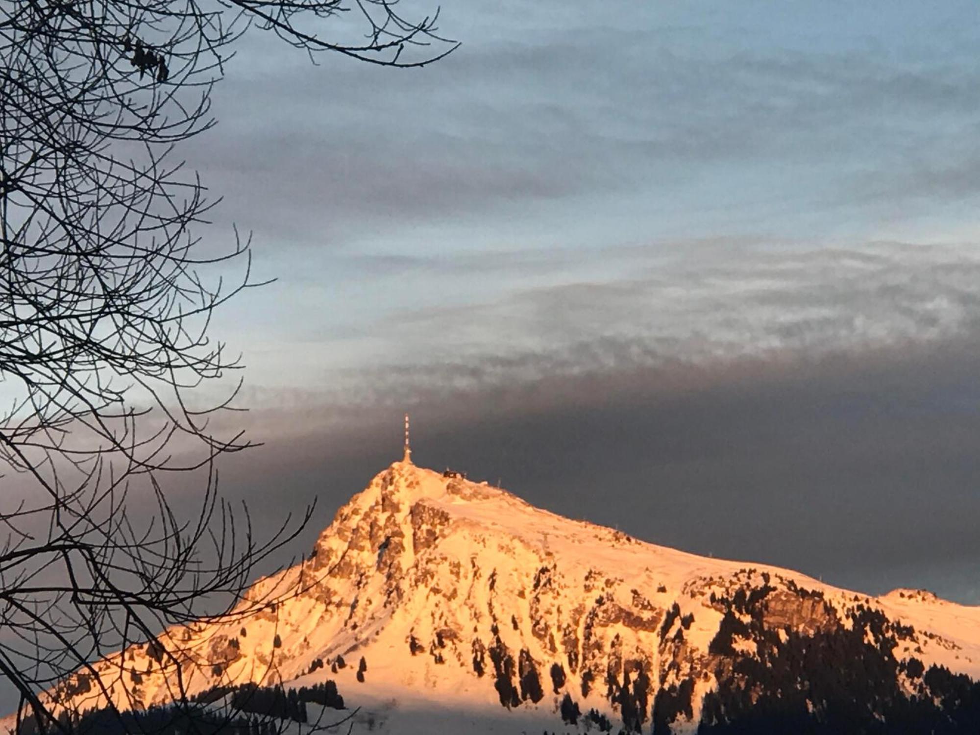 Fleckalm Chalets Kirchberg in Tirol Exterior foto